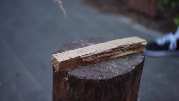 Nahaufnahme Ein Mann Versucht Freien Ein Auf Einem Baumstamm Liegendes — Stockvideo