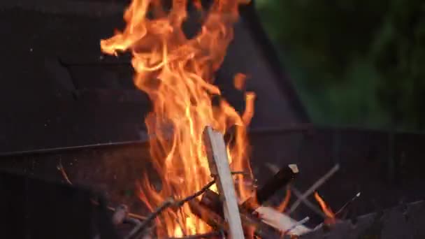 Közelkép Tűz Égő Fatörzsek Egy Barbecue Grill — Stock videók