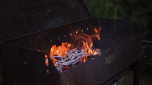 클로즈업 건조한 가지와 붓나무를 태우는 속에서 봉지에서 바베큐 그릴로 뿌려집니다 — 비디오