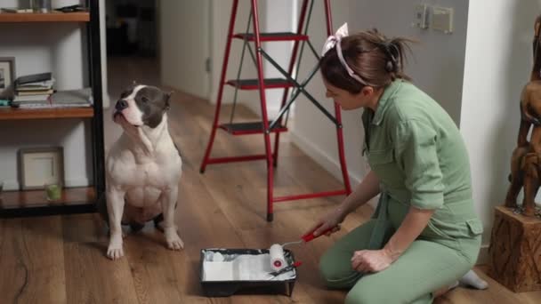 慢动作一个孕妇 跪在地板上 用白色油漆蘸着一个油漆滚筒 把它递给坐在她旁边的狗 让它闻闻 — 图库视频影像