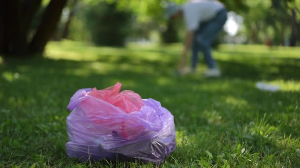 Limpar Lixo Num Parque Cidade Primeiro Plano Saco Plástico Lixo — Vídeo de Stock
