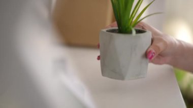 Yakın plan. Bir kadın eli, beyaz seramik bir tencereyi yeşil bir bitkiyle kitaplığa yerleştirir.