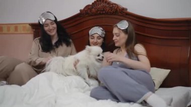 Kafalarında uyku maskeleri olan üç güzel genç kadın yatak odasında beyaz bir Pomeranya Spitz 'i ile oynarken gülüyor ve eğleniyorlar.