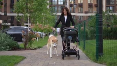 Bebek arabalı güzel bir kadın ve tasmalı bir shiba-inu köpeği, bir yaz günü bir sitenin avlusunda yürür.