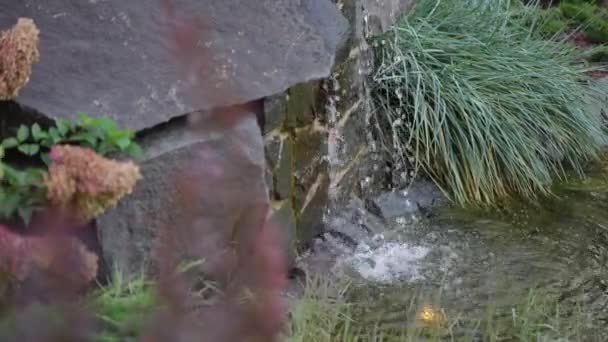 Small Stream Water Emerges Rock Creating Gentle Flow Surface — Stock Video