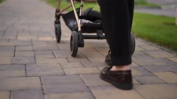 Person Walking Sidewalk While Pushing Stroller — Stok video