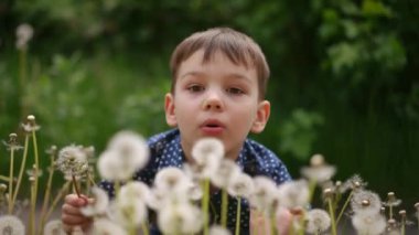 Yakın plan. Bir bahar günü parkın içinde çömelirken bir çocuk karahindibalara üflüyor. Çocuk ellerini sallıyor, çiçeklerden karahindiba tohumları atıyor.