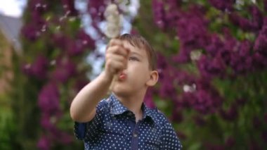 Yakın plan. Elinde karahindiba tutan bir çocuk, onlara üflüyor, çiçeklerden tohum saçıyor, bir bahar günü annesiyle birlikte parkta dikilirken. Mutlu bir çocuk kollarını sallıyor.