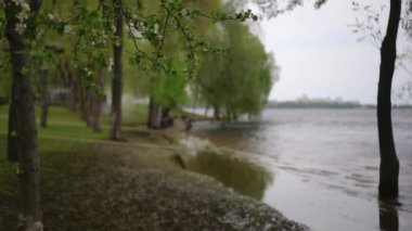 Güzel, canlı, renkli yeşillikler ve sakin sularla çevrili huzurlu ve sakin bir göl manzarası.