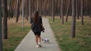 Siyah kıyafetli bir kadının, Yorkshire Terrier 'ına tasma takıp, huzurlu bir orman yolunda yürürken çekilmiş dikiz görüntüsü. Huzurlu atmosfer, uzun ağaçlar ve sıradan gezinti bağı vurguluyor.