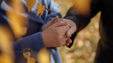 Işıl ışıl sonbahar yaprakları arasında birbirine dolanmış iki elin yakın çekimi, sıcaklığı ve derin bağları gösteriyor.