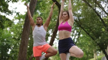 Fitness odaklı bir çift, huzurlu ve huzurlu bir park ortamında birlikte yoga pozları veriyor.