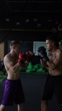 Yoğun bir boks antrenmanı, spor salonunda iki yetenekli sporcunun özenle antrenman yapmaya hazırlanmasını gösteriyor.