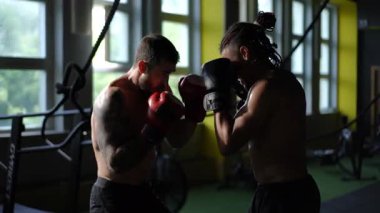 İki kararlı sporcu, kuytu bir spor salonunda yoğun bir boks antrenmanı yapıyorlar.