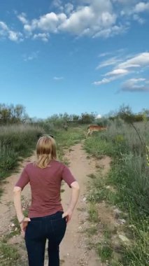 Bir kadın manzaralı bir yola hayran, neşeyle çevreleyen yeşil alanda gizlenmiş zarif bir geyiği görüyor.