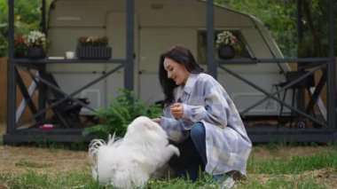 Çok neşeli bir kadın, huzurlu bir açık havada tüylü beyaz bir köpekle mutlu bir şekilde besleniyor ve oynuyor.