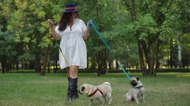 Şık bir kadın, ağaçlarla dolu yemyeşil bir parkta iki sevimli köpeğiyle keyifli ve sakin bir yürüyüş yapar.