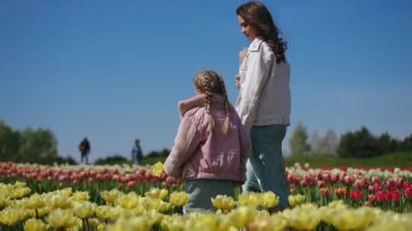 Sevgi dolu bir anne ile genç kızı arasında açık mavi gökyüzünün altındaki canlı lale tarlalarında geçen hassas bir an.