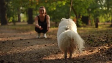 Keyifli ve neşeli bir etkileşim, neşeli bir köpekle sahibinin manzaralı bir park ortamında ortaya çıkıyor.
