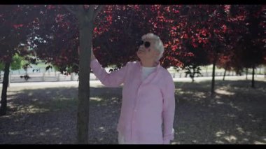 Madrid 'den gelen açık pembe tişörtlü son sınıf öğrencisi bir ağacın kırmızı yapraklarına dokunmak için uzanır ve parkın gölgeli bölgesinde sessizce gezinir.