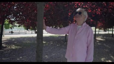 Madrid 'den son sınıf öğrencisi pembe gömlekli canlı kırmızı yaprakların altında kollarını uzatarak parkta huzurlu ve keyifli bir anın tadını çıkarıyor..