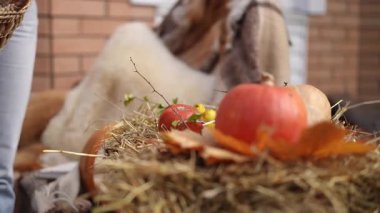 Büyüleyici balkabaklarının, mis kokulu samanların ve hoş, sıcak bir atmosferin yer aldığı harika bir sonbahar sahnesi.