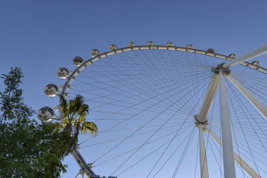 Las Vegas / Nevada 'daki Büyük Patenci