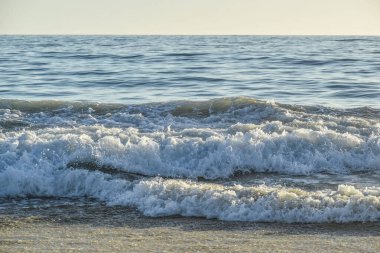 Sahildeki Okyanus Dalgaları