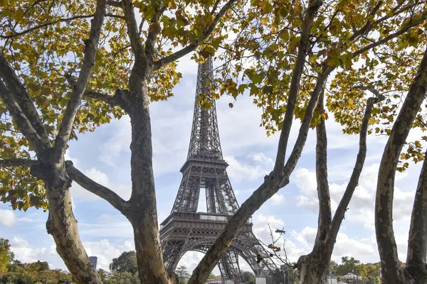 Pariser Fallende Bäume Mit Eiffelturm Als Hintergrund lizenzfreie Stockbilder