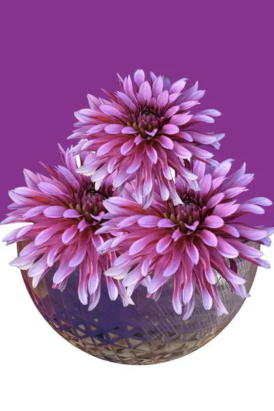 Vazodaki pembe ve mor çiçekler bir arkaplan olarak