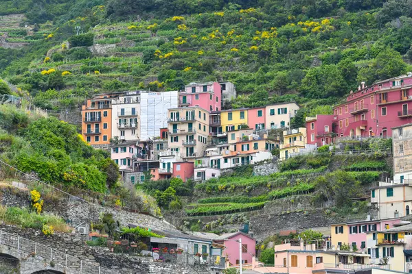 Tepelerdeki İtalyan Cinque Terre Renkli Evleri