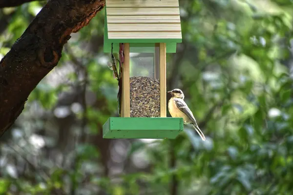 Arkaplan olarak Siyah Gradyan Rengi