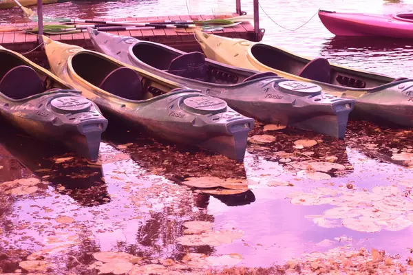 Pembe ve mor Peri Masalı Kanoları 