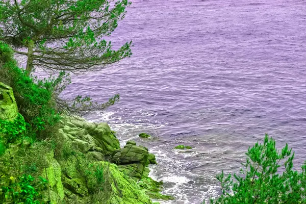 Yeşil ve Mor 'da Rüya ve Gökyüzü