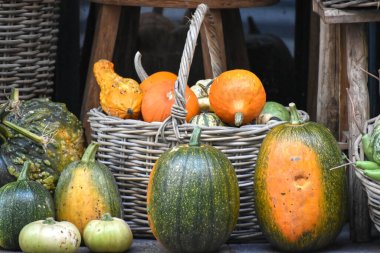 Turuncu Balkabağı Sepeti