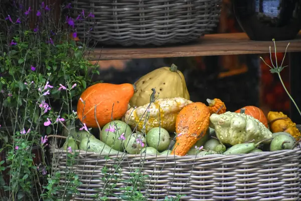 Saman sepetinde farklı türde balkabakları