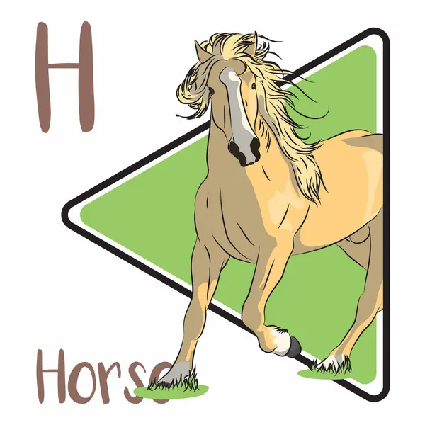 stock image The horse is a domesticated, one-toed, hoofed mammal. Horses are adapted to run, allowing them to quickly escape predators. A mature male horse is called a stallion, and the female a mare.