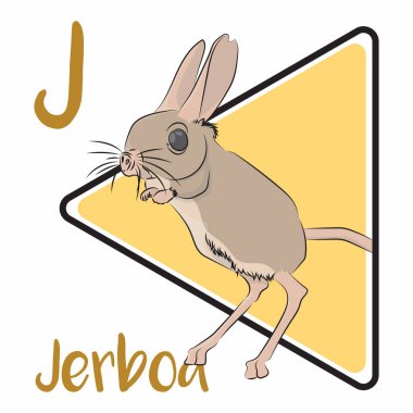 Jerboa 'lar, Kuzey Afrika ve Asya' da bulunan çöl kemirgenleri. Jerboas minyatür kangurulara benzer, her ikisinin de uzun arka bacakları, kısa ön bacakları ve uzun kuyrukları vardır. Jerboalar su içmeyen hayvanlardır..