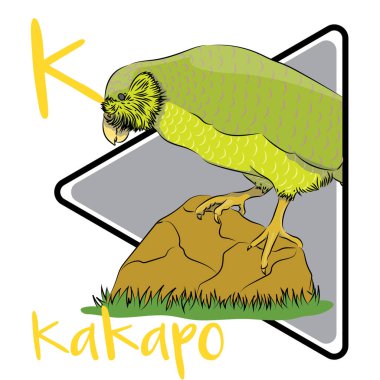 Kakapo uçamaz, denge için kanatlarını kullanır ve ağaçlardan atlarken düşüşünü durdurur. KKP, gece yaşam tarzını tamamlayan iyi gelişmiş bir koku alma duyusuna sahiptir. Yeni Zelanda 'daki Kakapo nüfusu büyük ölçüde azaldı..