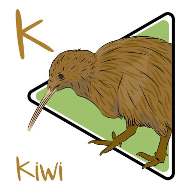 Kiviler uçamazlar ve Yeni Zelanda 'ya özgü neredeyse kanatsız kuşlardır. Kiviler en küçük oranlardır. Kivi, Yeni Zelanda 'nın çok dik olan ormanlarda yaşar. Kivi 'nin gece alışkanlıkları habitat baskınının bir sonucu olabilir..