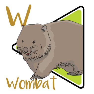 Wombatlar keseli hayvanlardır, koalalar ve kangurularla akrabadırlar. Wombats 'ın metabolizması uzamış. Wombatlar otçul hayvanlardır. Diyetleri çoğunlukla otlar, sazlıklar, otlar, kabuklar ve köklerden oluşur. Wombatların fazla suya ihtiyacı yoktur..