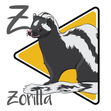 Zorilla, Afrika kokarcaları olarak da adlandırılır ve çoğunlukla savanalar gibi kuru iklimlerde yaşar. Diğer hardallar gibi Zorilla da etoburdur. Zorilla yalnız ve gececi bir yaratıktır. Zorilla saldırgan ve çok bölgesel bir hayvandır.