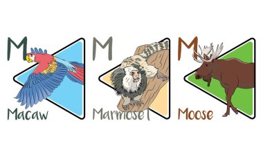 Macaw, Marmoset ve Moose, 