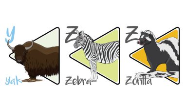 Resimde üç hayvan yer alıyor: bir öküz, bir zebra ve bir zorilla. Öküz, uzun kahverengi kürk, siyah ve beyaz çizgili zebra ve siyah gövdeli ve beyaz çizgili bir kokarcaya benzeyen zorilla ile betimlenir..