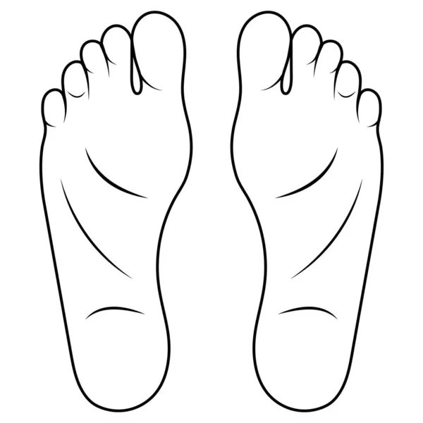 人脚画卡通画鞋尺寸人体鞋底 — 图库矢量图片