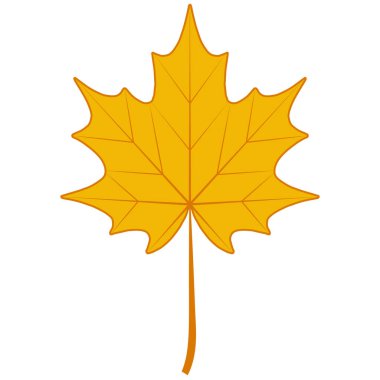 Autumn dry maple leaf symbol Canada maple autumn fallen leaf