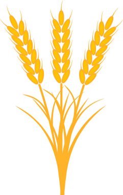 Buket demeti kulaklar buğday sapları olgun sarı yapraklar