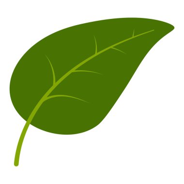 Taze bahar yaprağı. Damarları temiz basit yeşil yaprak vektörü.