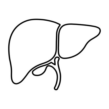 Minimalist siyah karaciğer ikonu, safra kesesi dahil, anatomi, sağlık sembolü