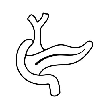 İnsan pankreas anatomisi diyagramı, sindirim sistemi tıp eğitimi